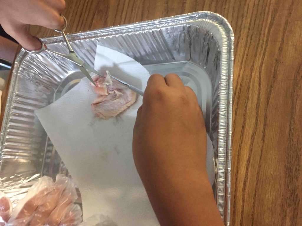 ESM Class of 2019: Chicken Wing Dissection | Friends of King